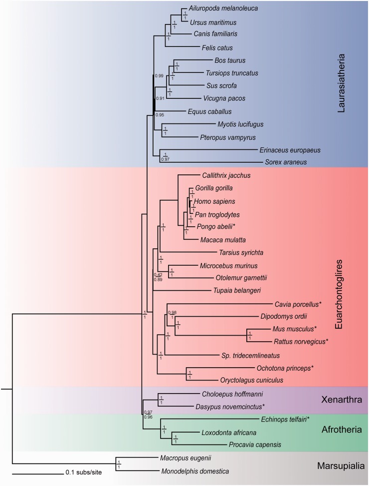 Fig. 3.