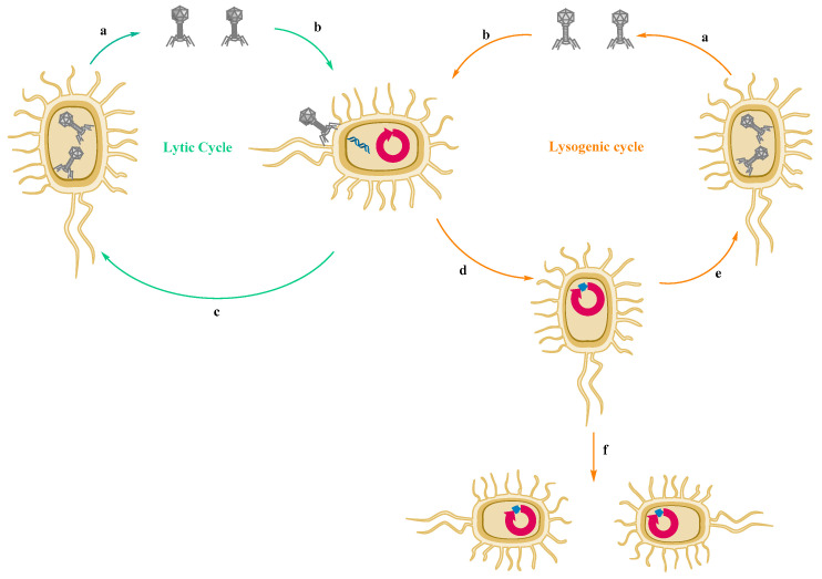 Figure 10