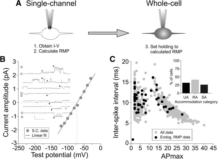 Figure 6.