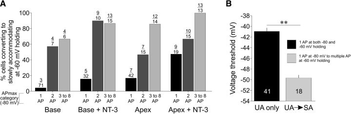 Figure 10.