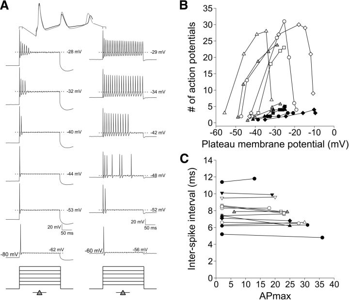 Figure 11.