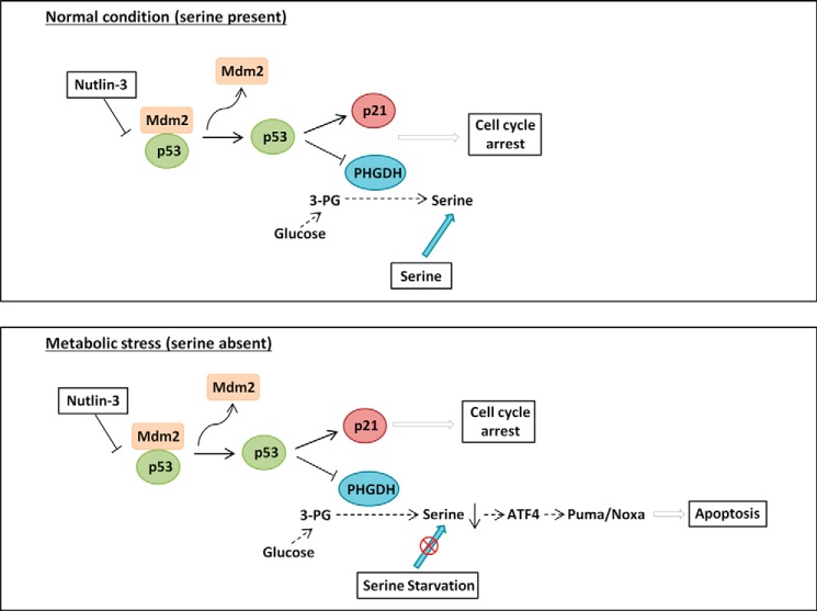 FIGURE 7.