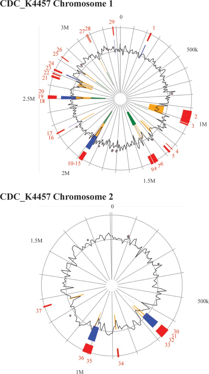 FIG 6