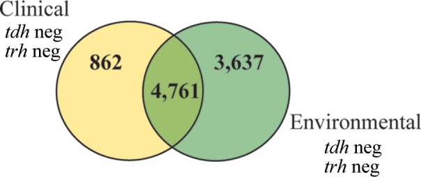 FIG 5