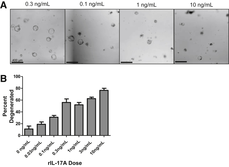 Supplementary Figure 1