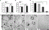Fig. 10.