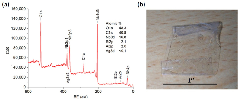 Fig. 4