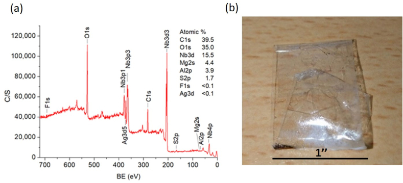 Fig. 9