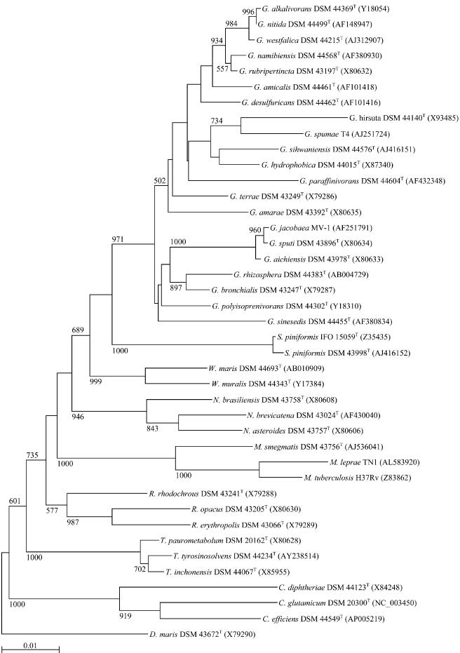 FIG. 1.