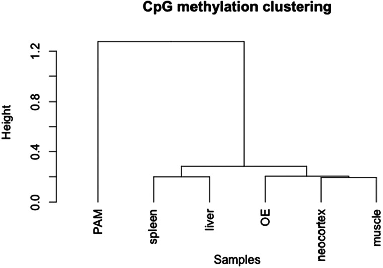 Figure 2.