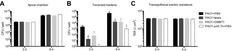 Fig 8