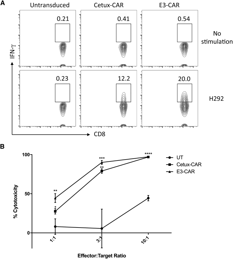 Figure 5