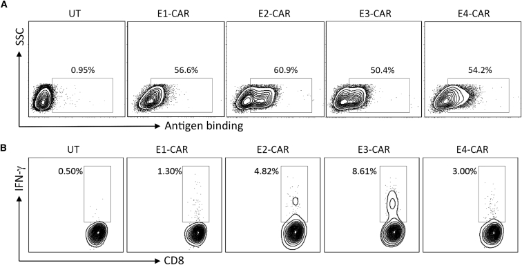 Figure 2