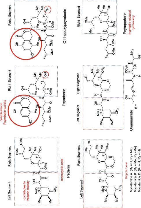 Scheme 32.1