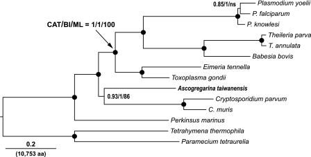 FIG. 1.