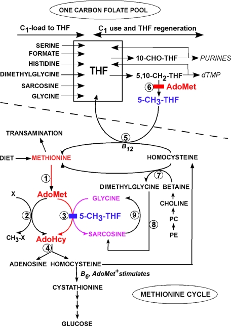 FIGURE 2.