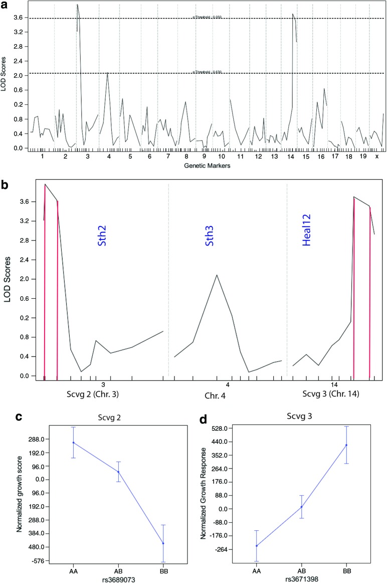 Figure 2.