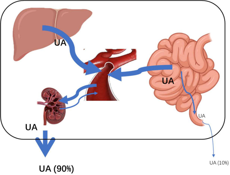 Fig 8