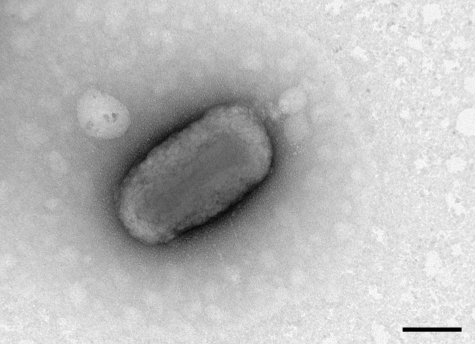 FIG. 8.