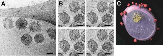 FIG. 13.