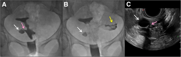 Fig. 8