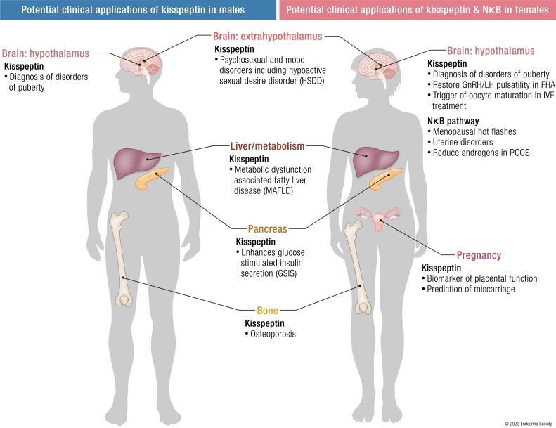 Graphical abstract