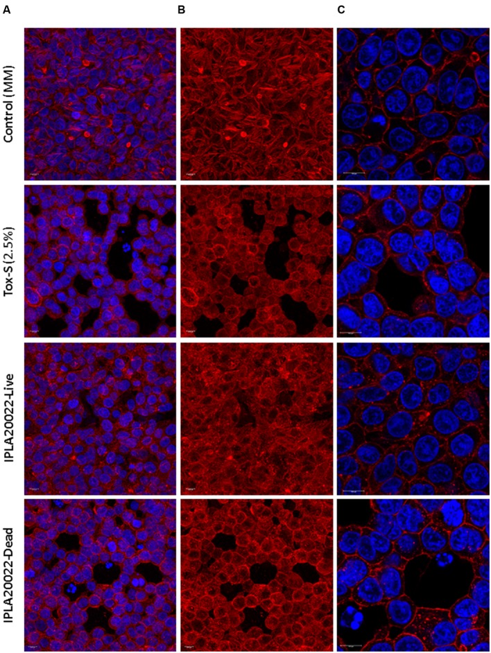 FIGURE 3