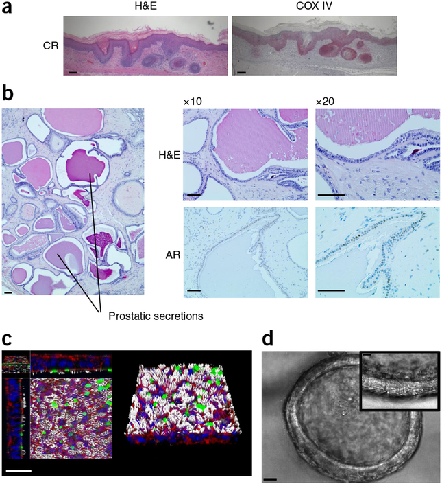 Figure 3 |