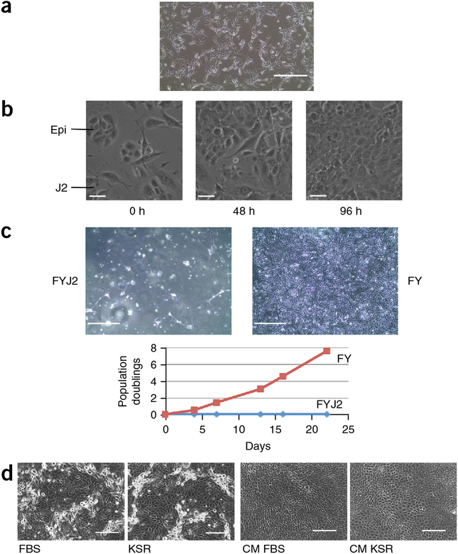 Figure 6 |