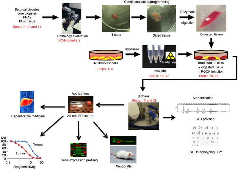 Figure 1 |