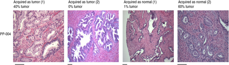 Figure 5 |