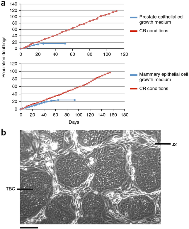 Figure 2 |