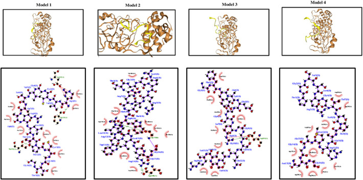 Fig. 4