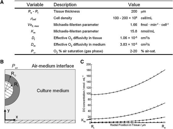 FIG. 1.