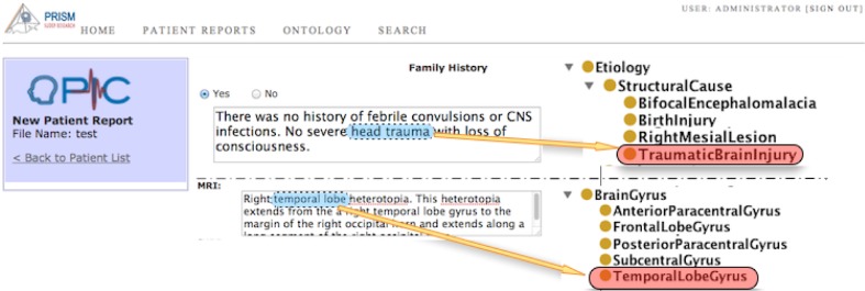 Figure 6: