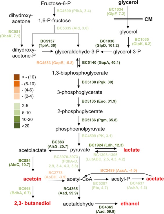 FIG 6