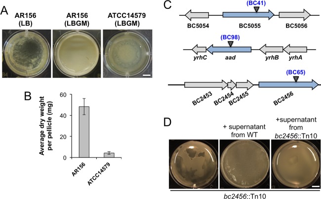 FIG 1