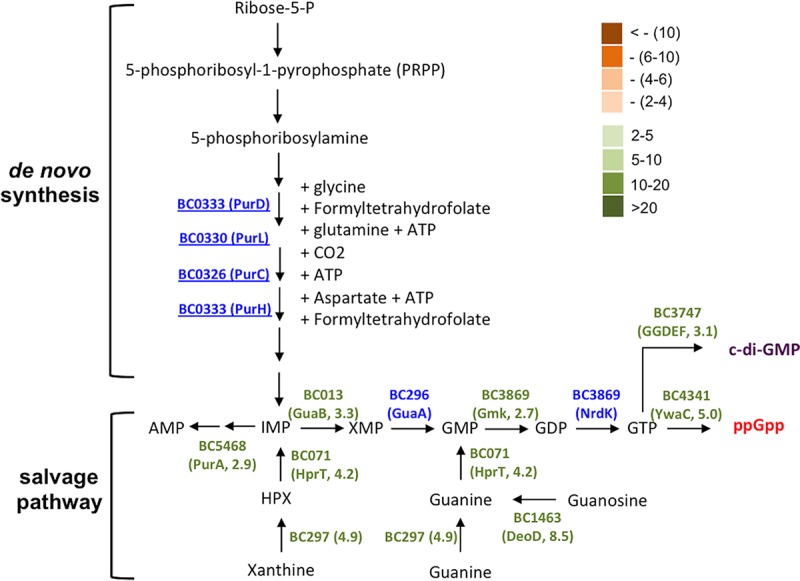 FIG 4