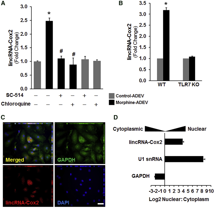 Figure 4