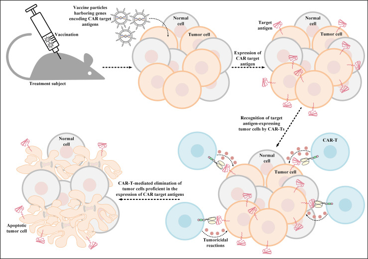 Figure 3