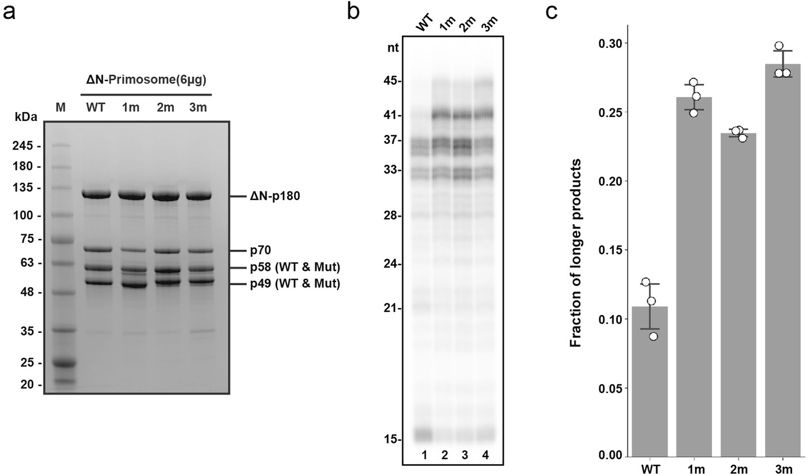 Extended Data Fig. 6|