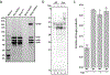 Extended Data Fig. 5|