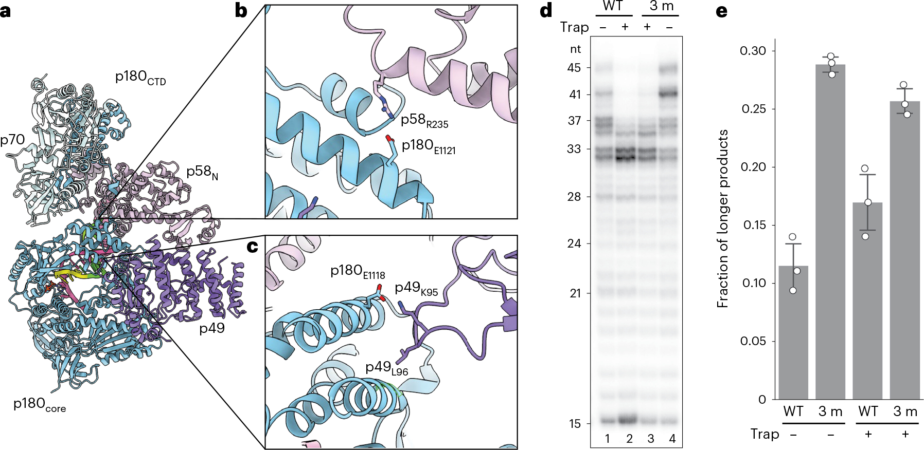 Fig. 2|