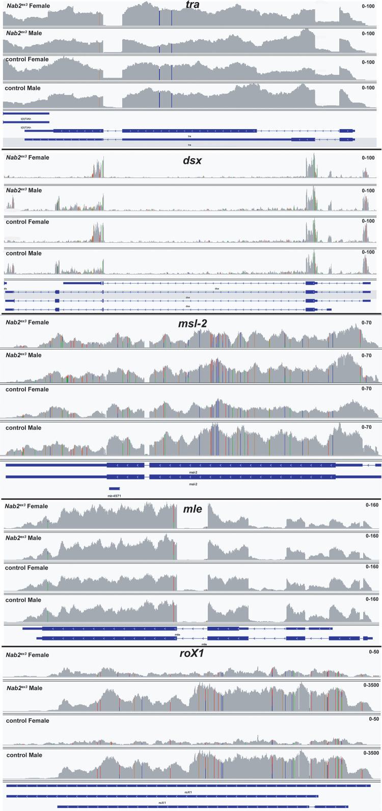 Figure 3—figure supplement 2.