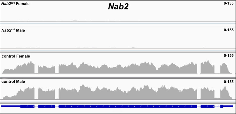 Figure 1—figure supplement 1.