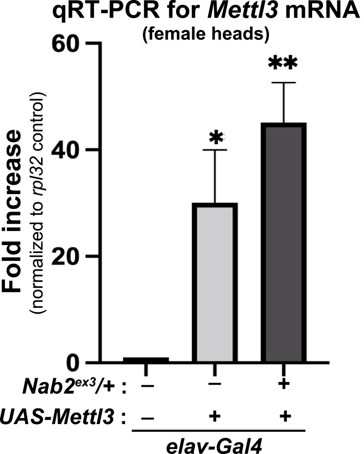 Figure 6—figure supplement 4.