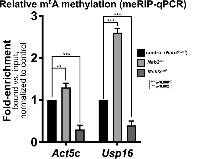 Figure 6—figure supplement 2.