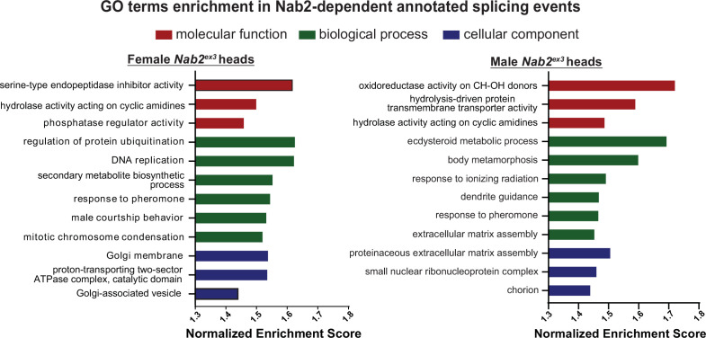 Figure 2—figure supplement 1.