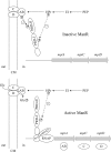 FIG. 3.