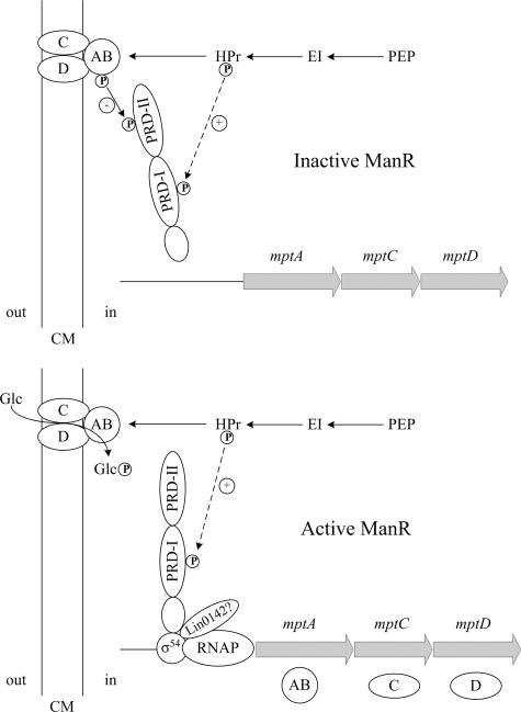 FIG. 3.